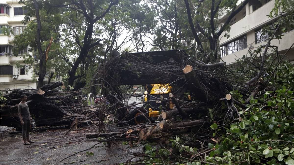 निसर्ग से तबाही