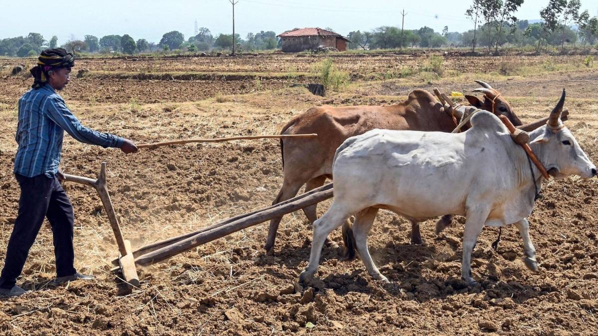 किसानों के लिए मोदी सरकार का बड़ा एलान (File-PTI)