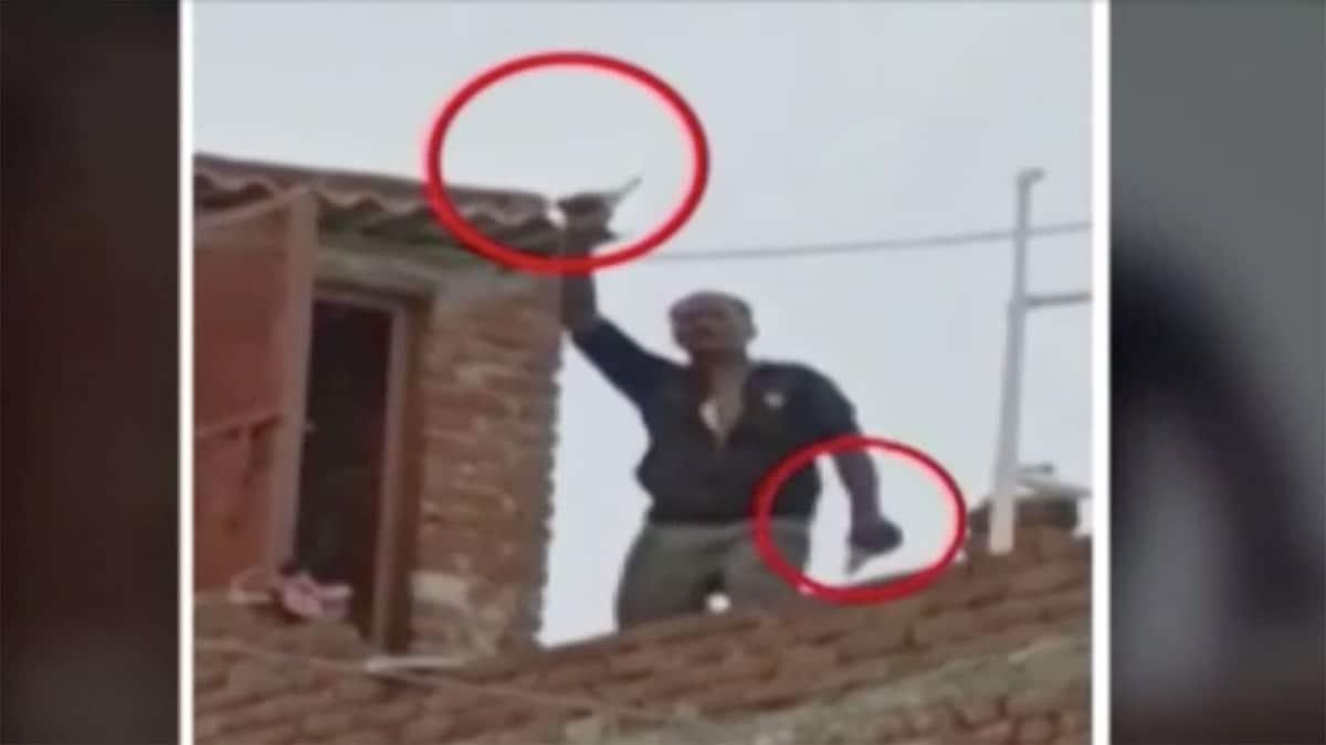 वीडियो ग्रैब