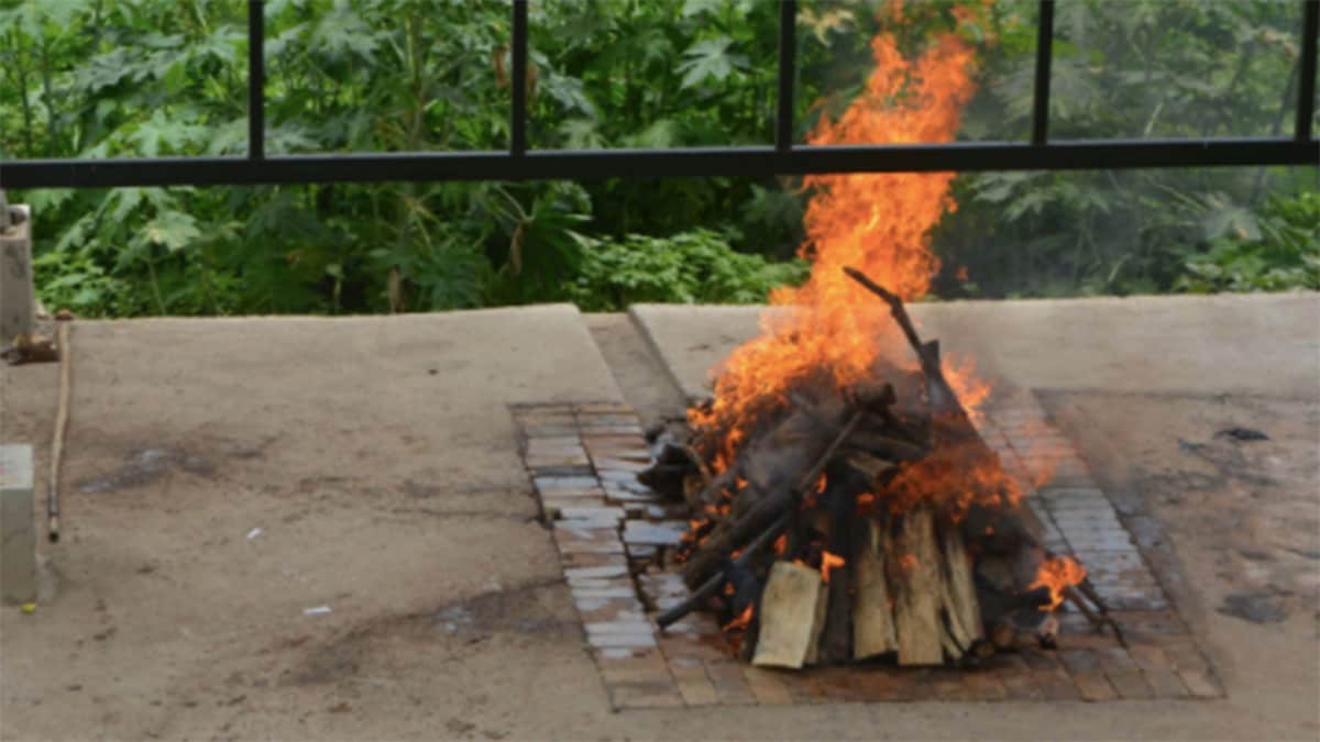 (फाइल फोटो-पीटीआई)