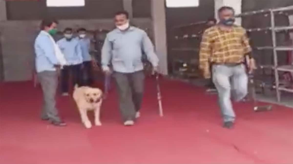 वीडियो ग्रैब