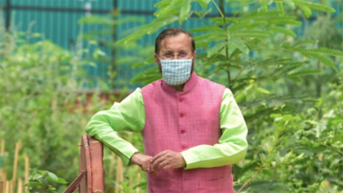 (फाइल फोटो-पीटीआई)