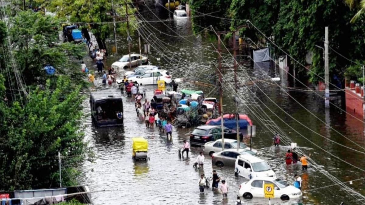 Bihar flood 2020 (Photo: PTI)