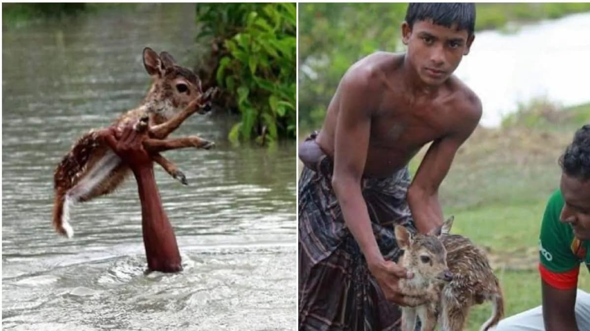 फैक्ट चेक