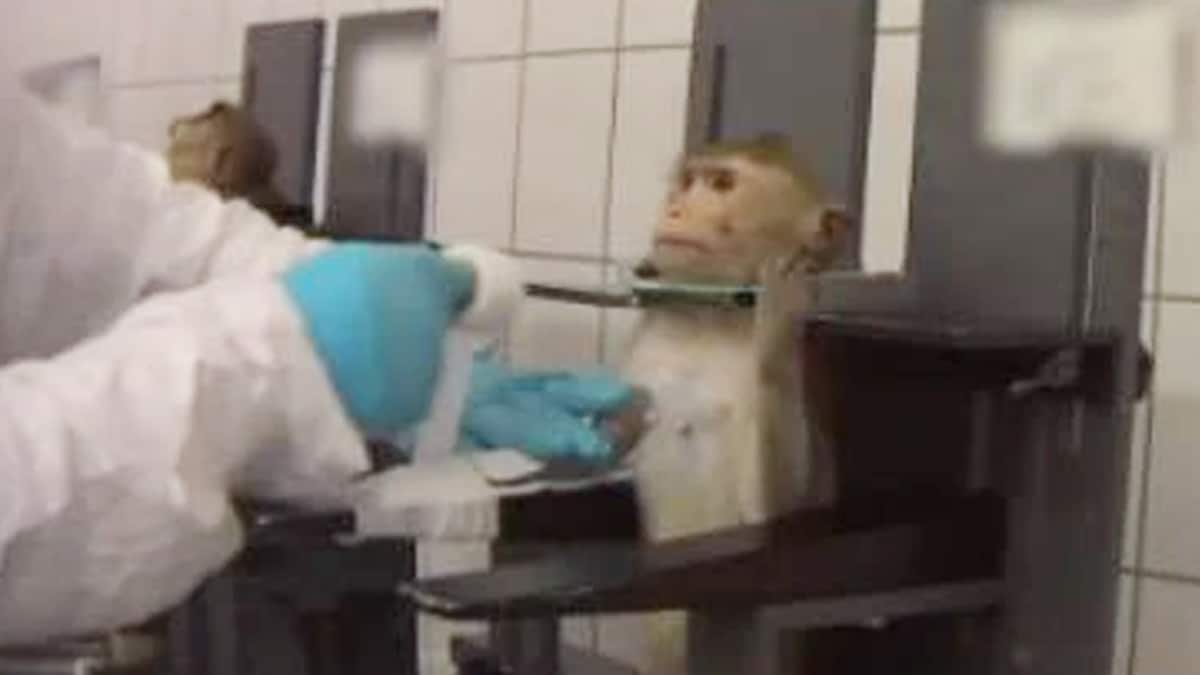 India might record 2.87 lakh coronavirus cases per day