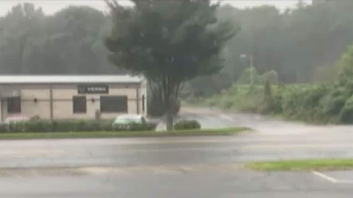 वीडियो ग्रैब