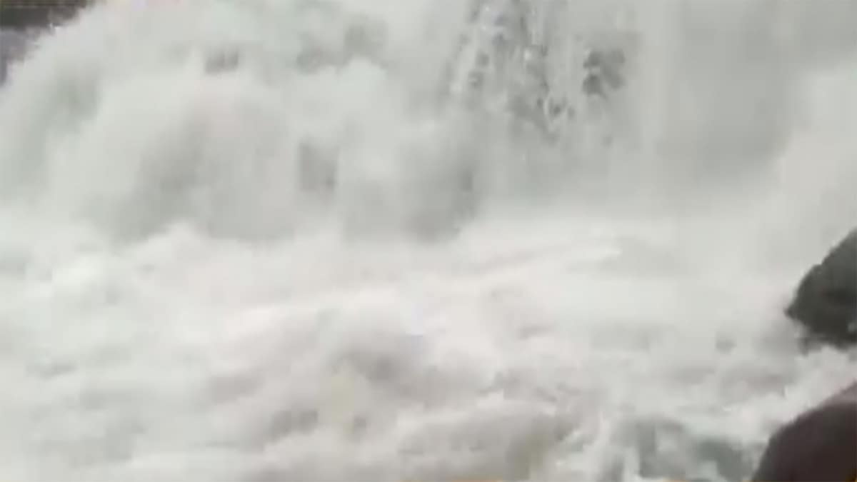 वीडियो ग्रैब