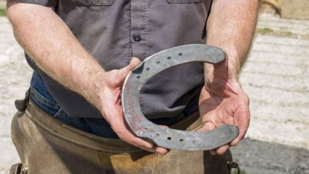 Horseshoe (File Photo)