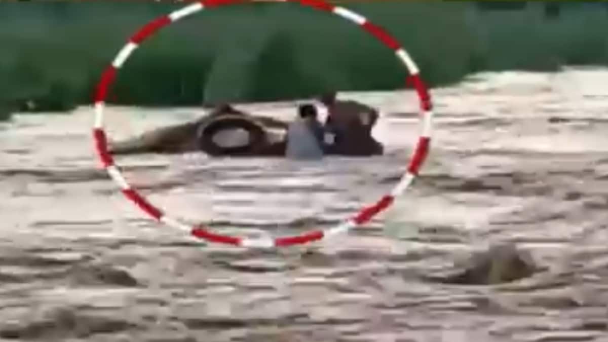 Vehicle stuck into water, driver dies (File- Video Grab)