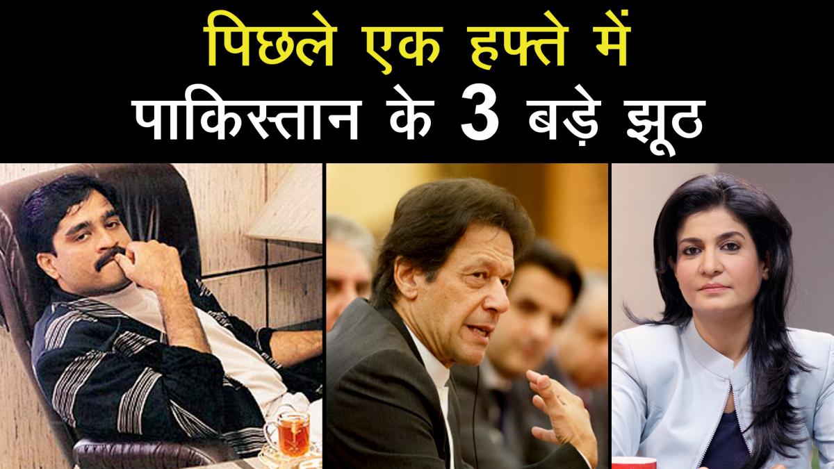3 big lies of Pakistan exposed in front of UNSC by India