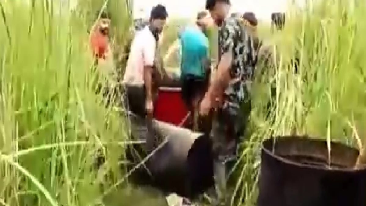 पंजाब में अवैध शराब का धंधा