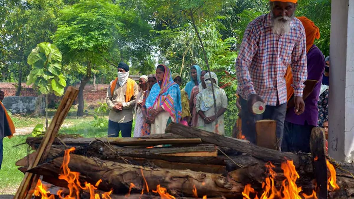 Punjab hooch tragedy (Photo- PTI)