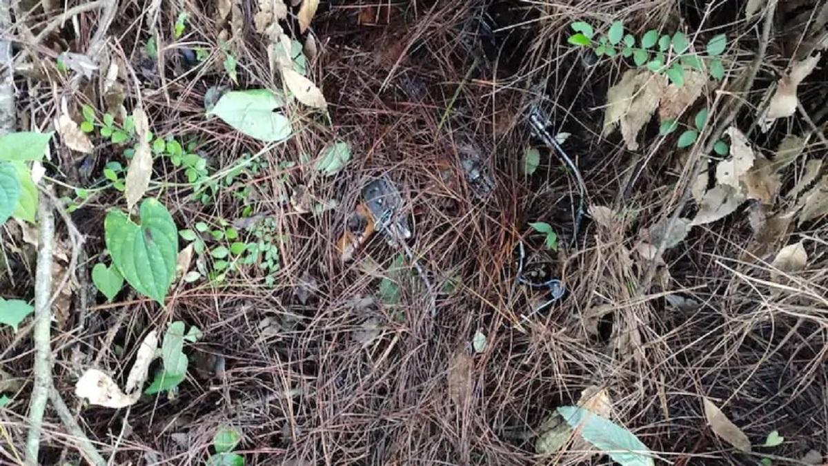 Police also recovered a huge cache of arms and ammunition. (Image: India Today)