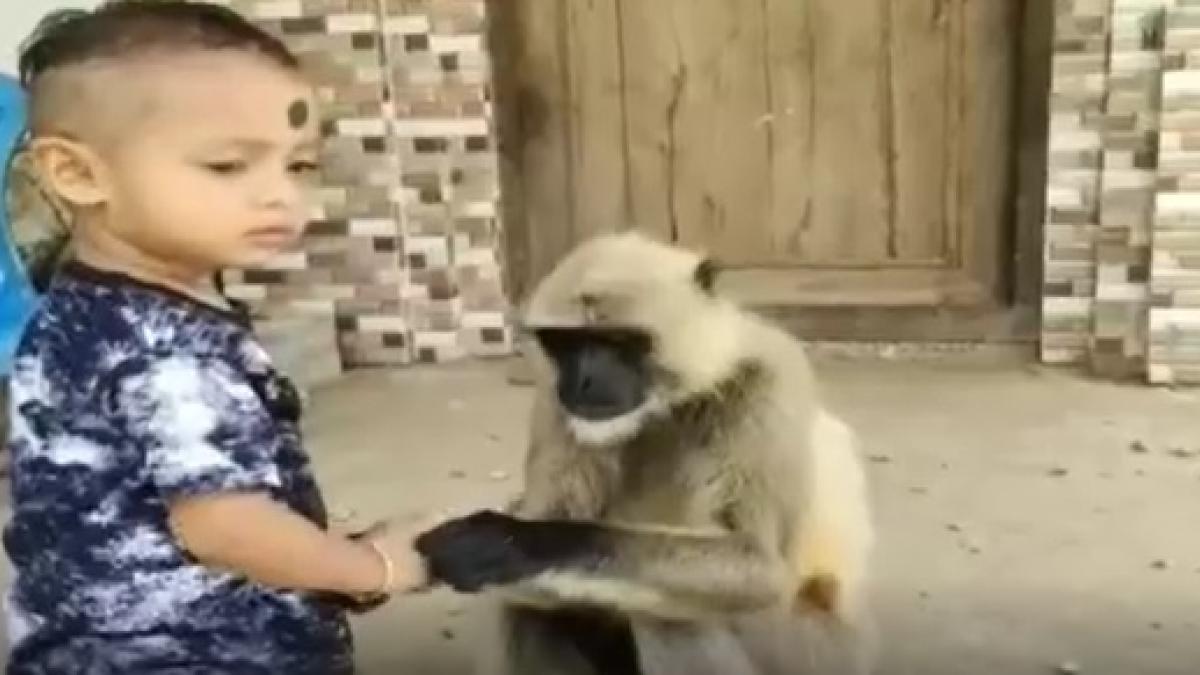 Video went viral on Social Media