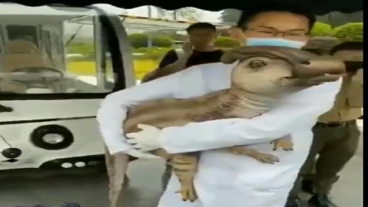 क्या है वायरल दावे की सच्चाई?