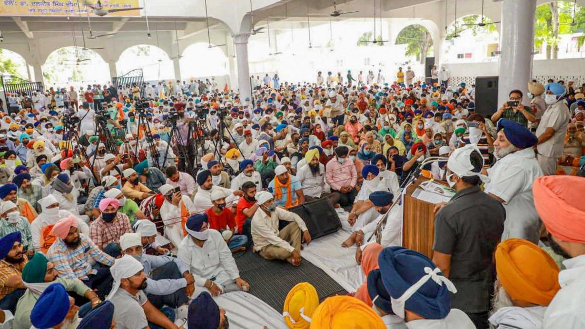 किसानों का कृषि बिल पर गुस्सा (फोटो-PTI)