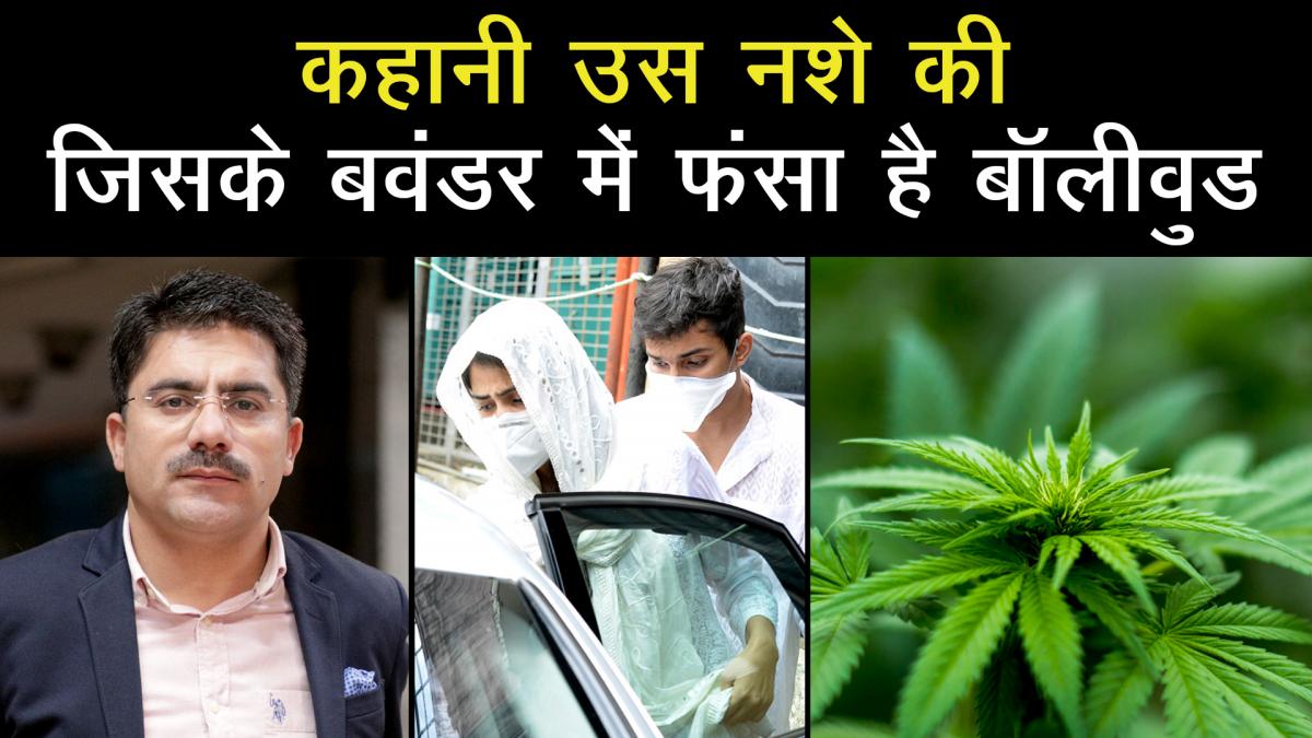 know about Marijuana
