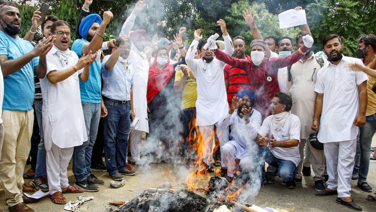 Dalit scholarship scam of Punjab (Photo- PTI)