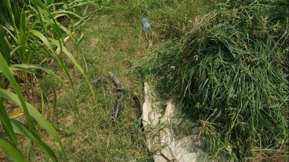 हाथरस कांड में एक नया वीडियो 