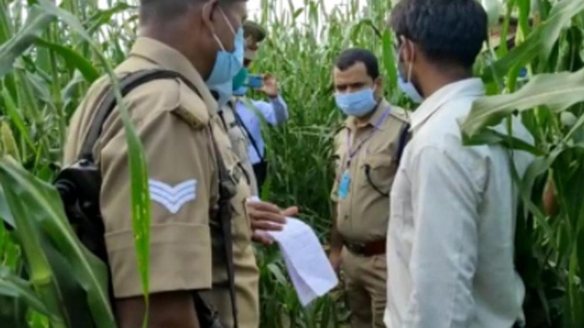 Hathras gangrape case 