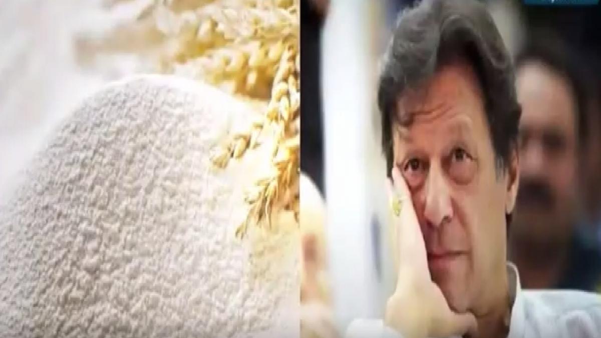 Pakistan wheat crisis