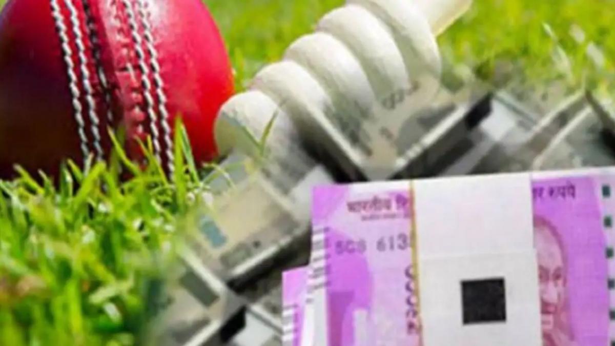 Cricket, IPL 2020 betting (प्रतीकात्मक तस्वीर)