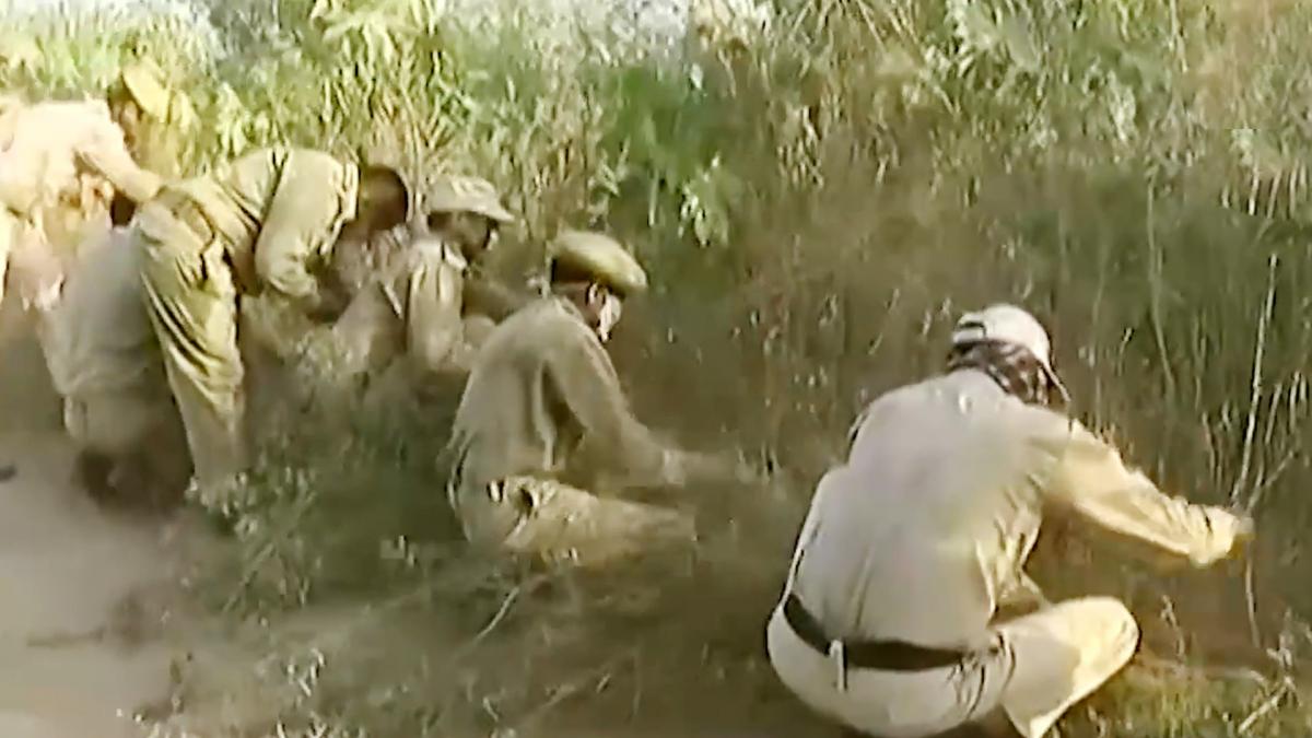 Marijuana crop destruction