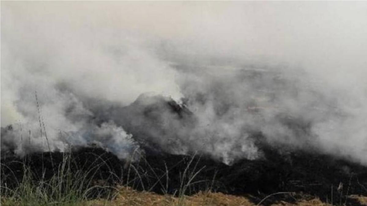 Corona crisis and pollution