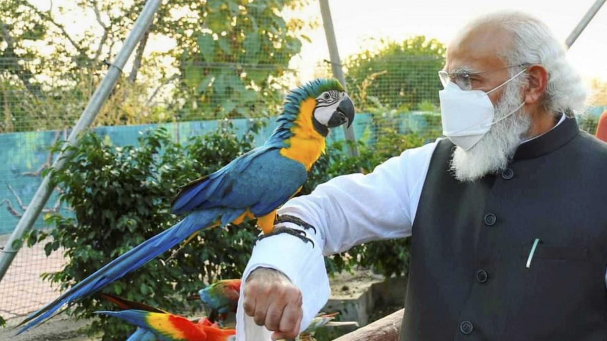 PM मोदी ने किया आरोग्य वन का उद्घाटन