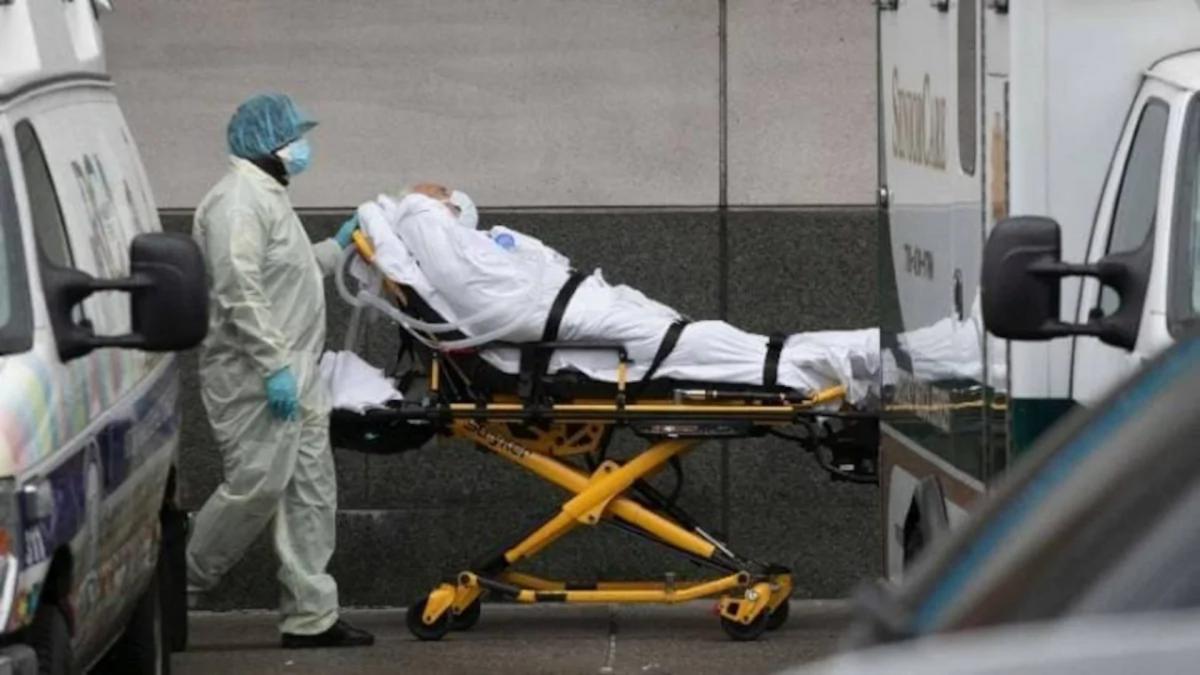 corona deaths in america