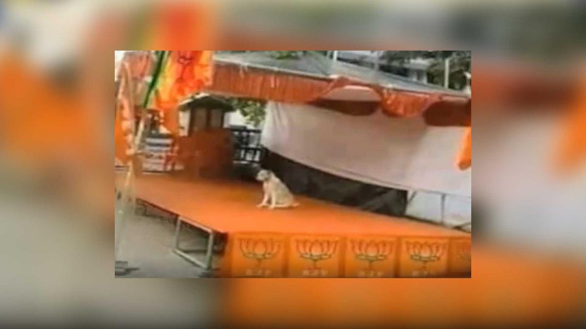 बीजेपी के मंच पर कुत्ता