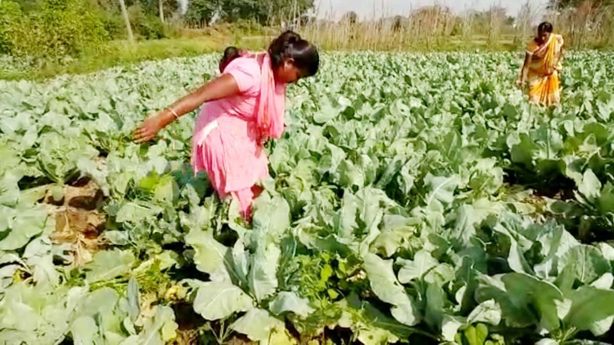 success story of specially abled lady