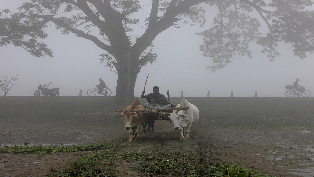 Winter started in North India (Photo-PTI)