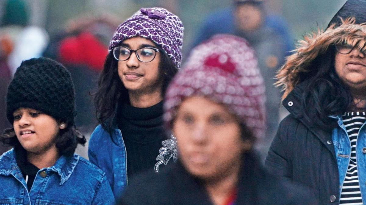 North India cold wave 