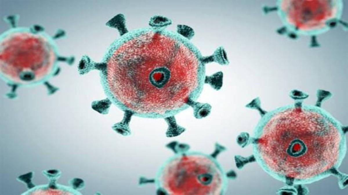 new coronavirus found