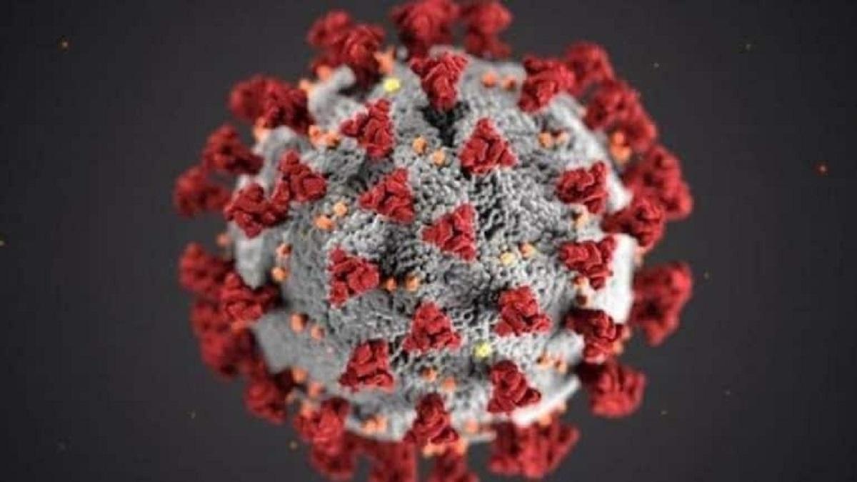 Coronavirus new strain (Representative Image-AP)