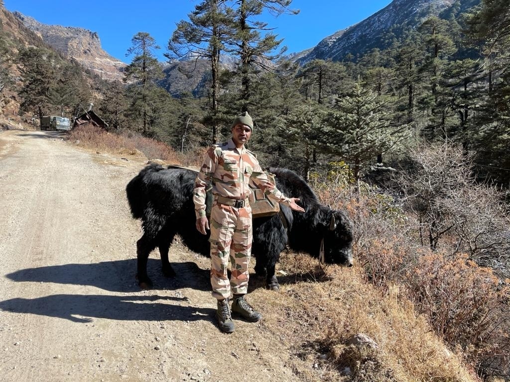 The ITBP uses its 'fleet' of Yaks