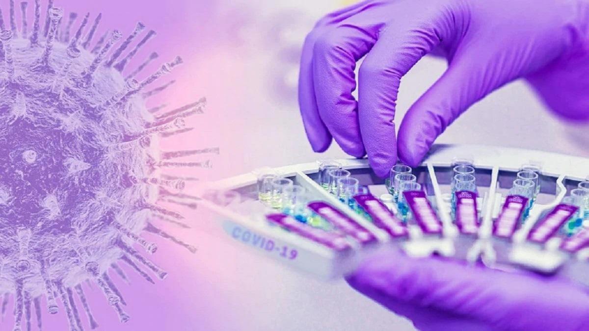 corona virus new strain