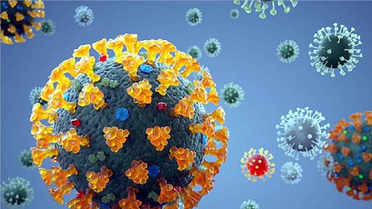 Coronavirus new strain