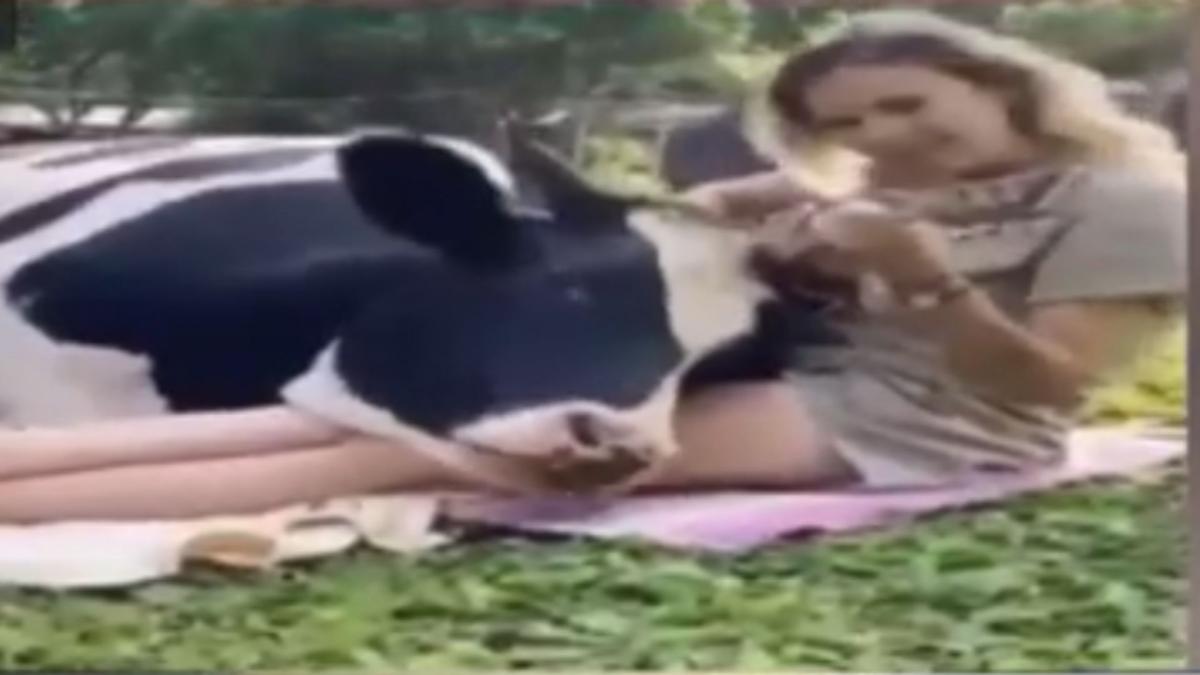 Social Media Viral Photo