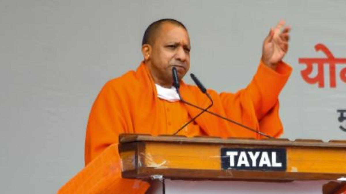 Yogi