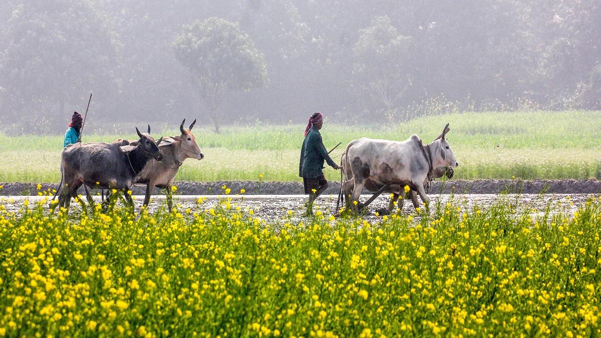Agriculture Sector demands boost (photo-PTI)