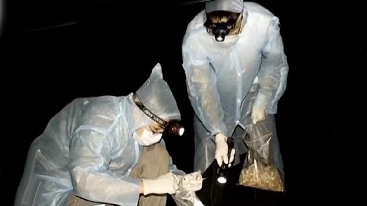 china is responsible for the outbreak