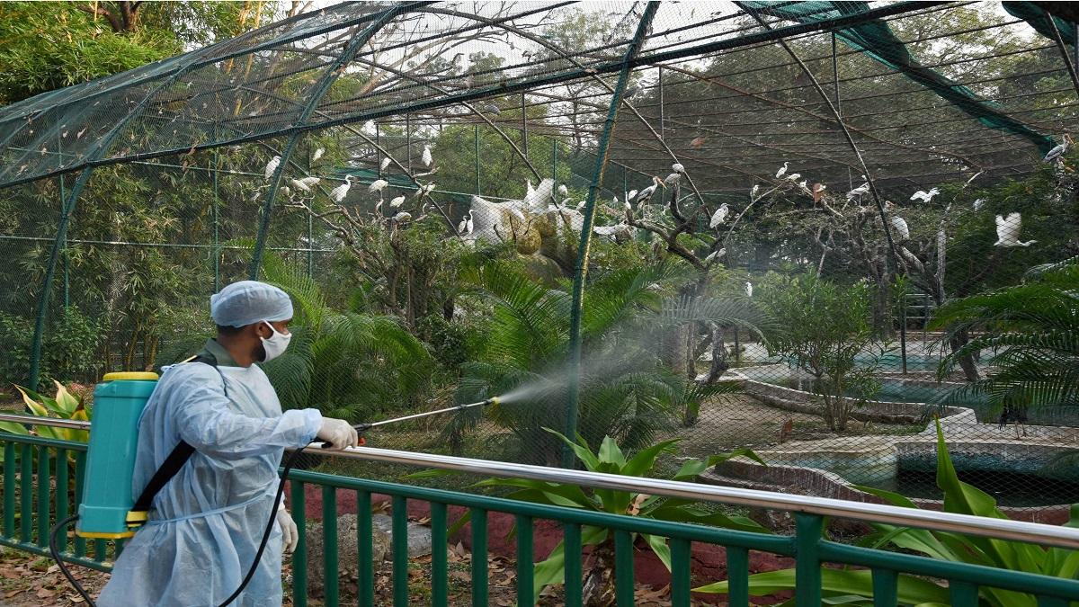 BIrd flu alert in six states (Photo-PTI)