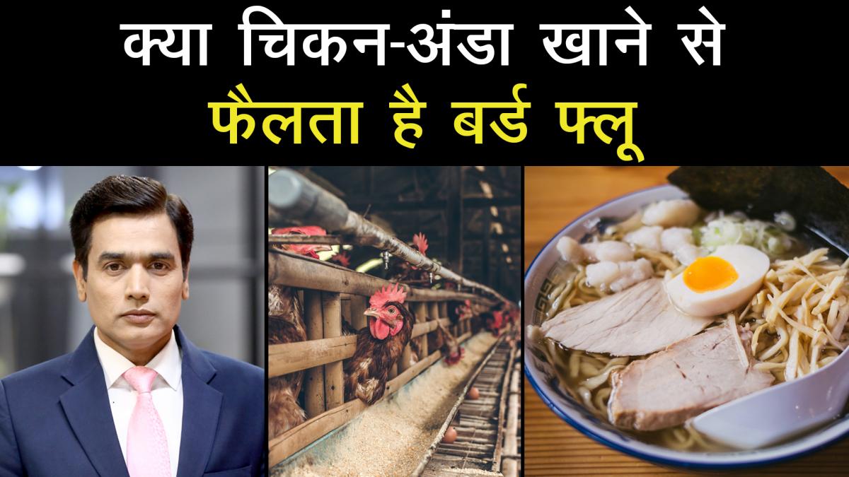 Does bird flu spread by eating chicken-egg