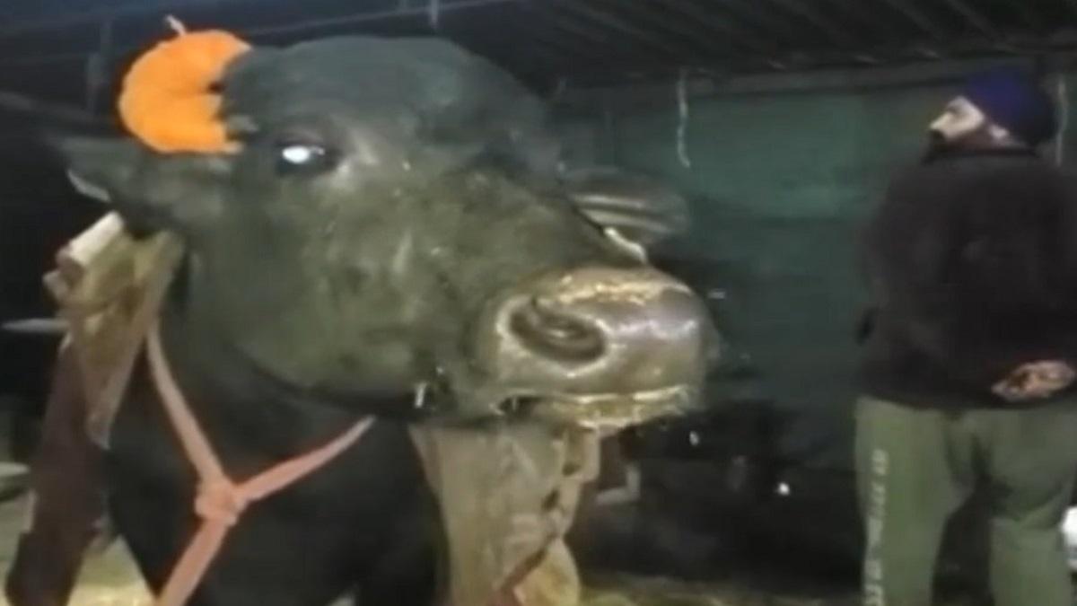 क्या है वायरल दावे की सच्चाई?