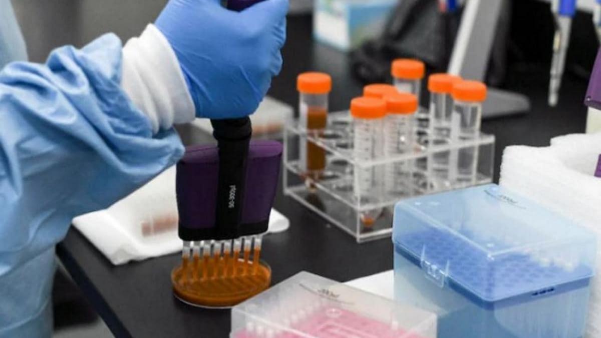 covishield coronavirus vaccine