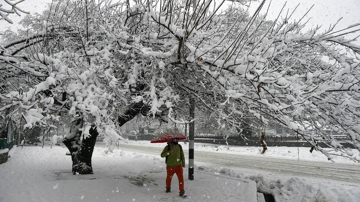 Snowfall in Jammu Kashmir Srinagar (Photo-PTI)