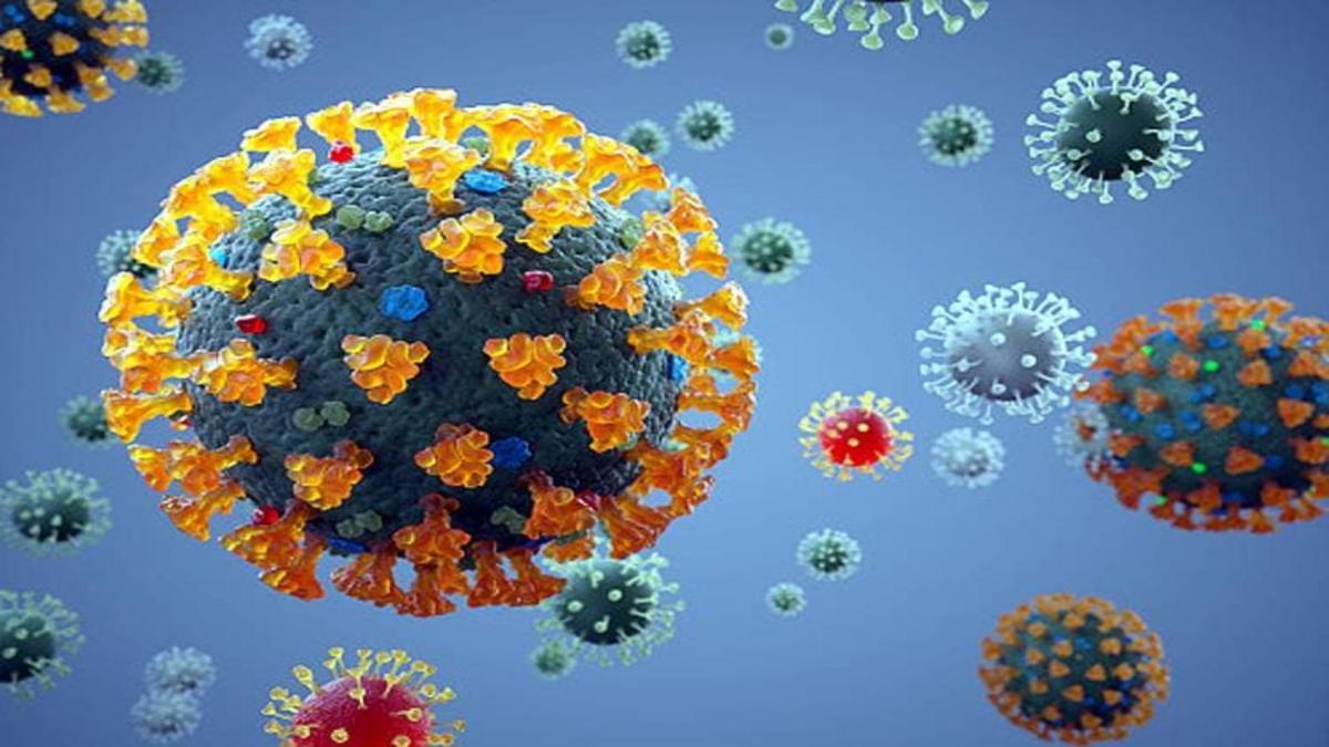 coronavirus