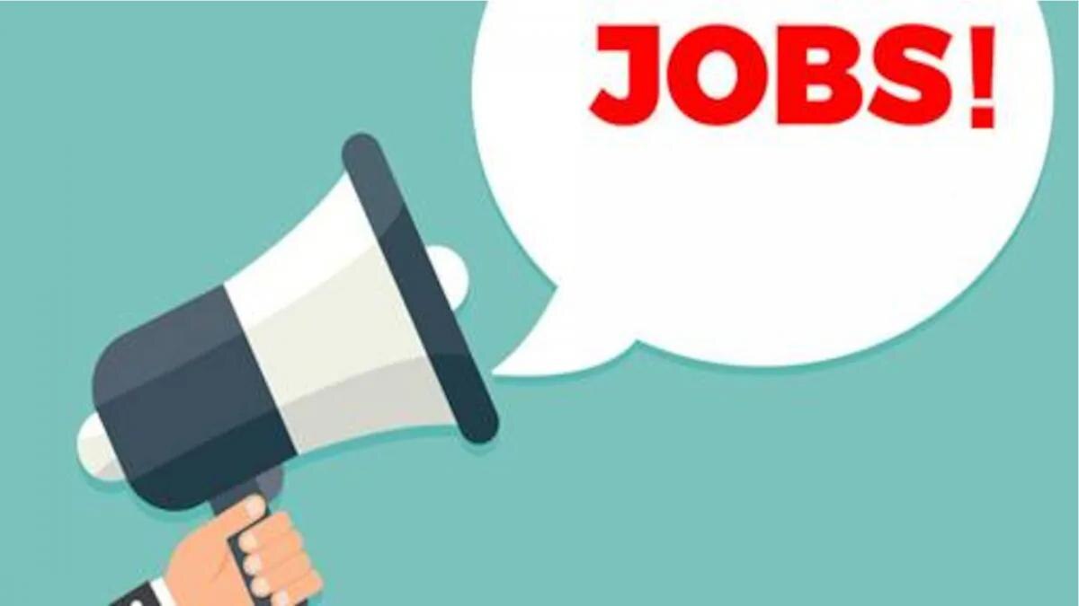 Job opportunities in many companies